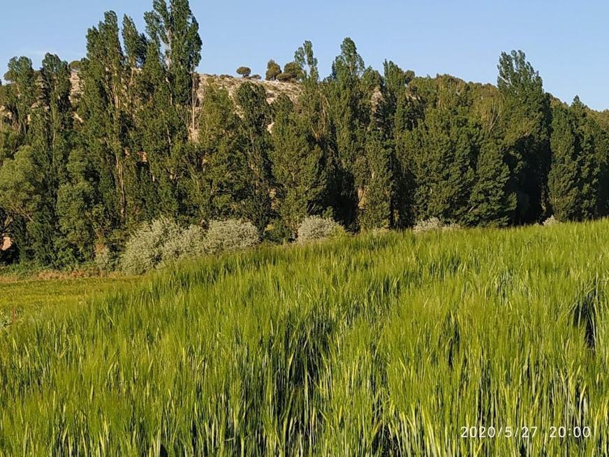 Casa Rural La Morena Castroverde de Cerrato Dış mekan fotoğraf