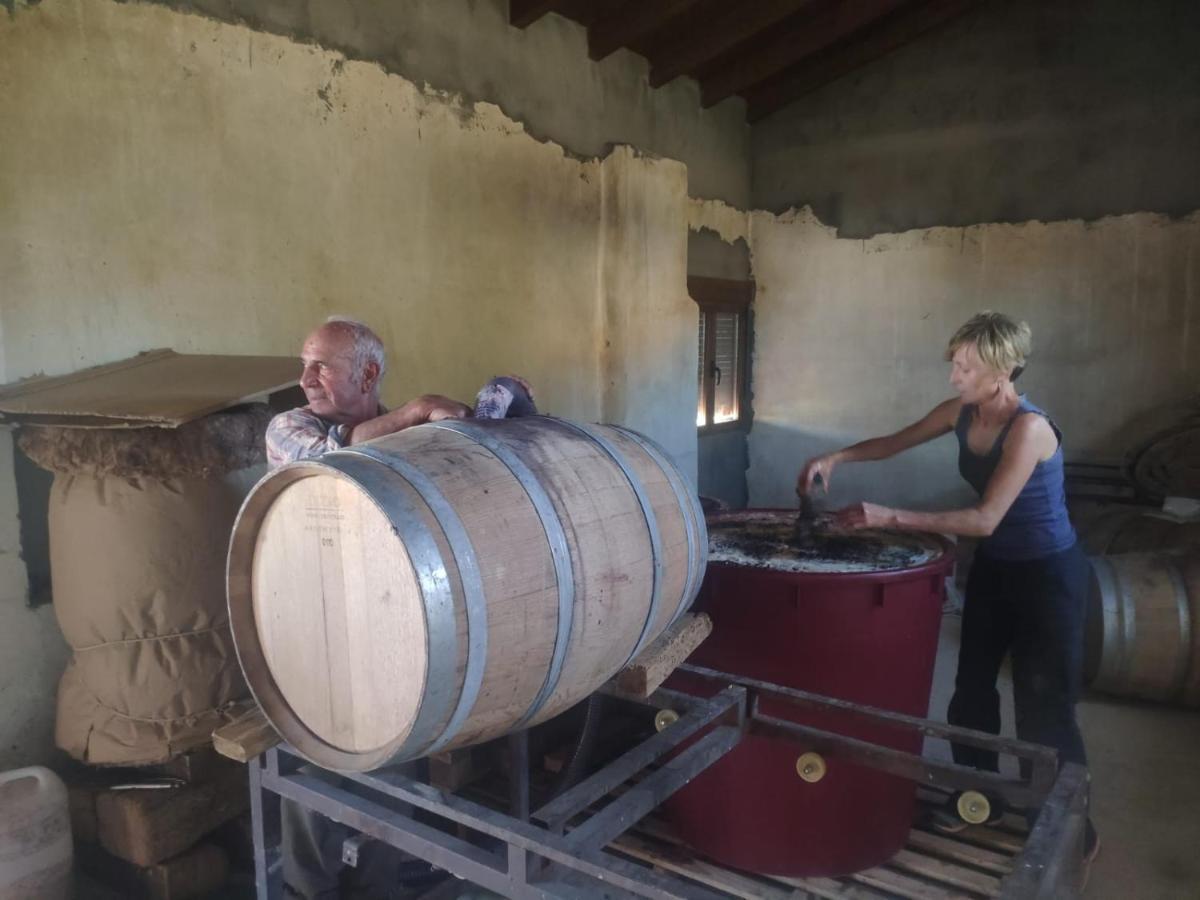Casa Rural La Morena Castroverde de Cerrato Dış mekan fotoğraf
